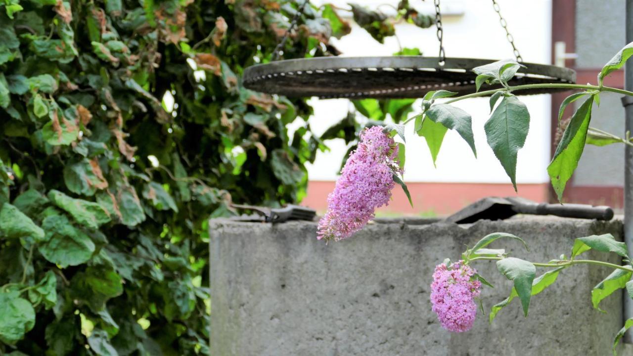 Helles Ferienhaus Im Landhausstil Fuer Bis Zu 10 Personen Frielendorf エクステリア 写真
